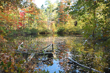 Beeson's Pond, Texas