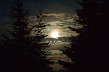 Full Moon in Cemetery