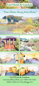 Rack Card for Surf Motel and Gardens (Front)