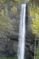 Latourell Falls