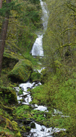 Waterfall along Historic Columbia River Highway