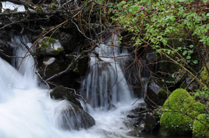 Cascade along Historic Columbia River Highway