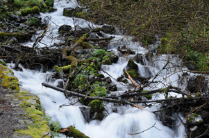 Cascade along Historic Columbia River Highway