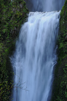 Lower Multnomah Falls