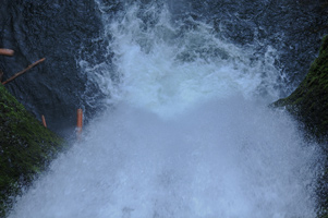 Lower Multnomah Falls