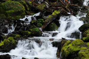 Below Horsetail Falls