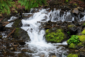 Below Horsetail Falls