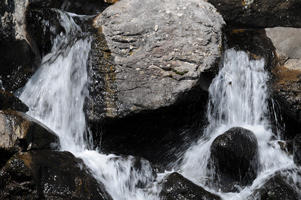 Columbia Hills Historical State Park