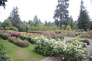 Grounds at Rose Test Garden