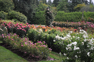 Grounds at Rose Test Garden