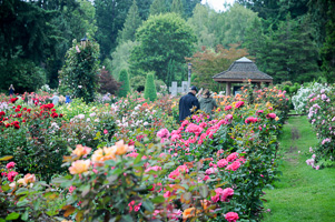 Grounds at Rose Test Garden