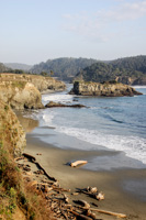 Portuguese Beach, Mendocino