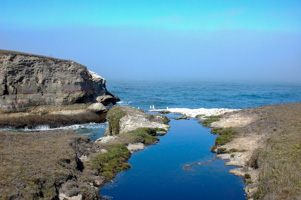 Above the Stornetta Waterfall, Mendocino Coast