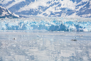 Hubbard Glacier, Alaska