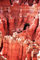 Bryce Canyon