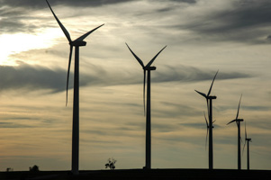 Windmills on Road Trip, New Mexico