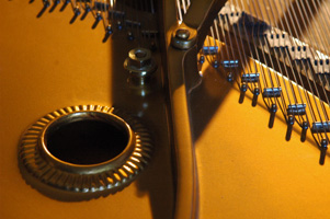 Detail from 1923 Baldwin Grand Piano