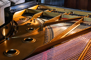 Detail from 1923 Baldwin Grand Piano