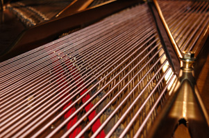 Detail from 1923 Baldwin Grand Piano