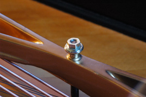 Detail from 1923 Baldwin Grand Piano